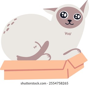 Adorable siamese cat lying on a cardboard box, enjoying a moment of relaxation and showing its playful nature, creating a heartwarming and funny scene