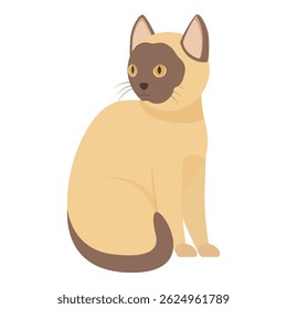 Adorable siamese cat sitting and looking curiously over its shoulder