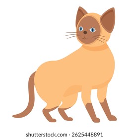 Adorable siamese cat standing, its blue eyes sparkling with curiosity