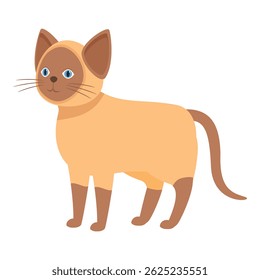 Adorable siamese cat standing with its tail slightly raised, displaying a curious and playful demeanor