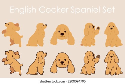 Adorable and simple English Cocker Spaniel illustrations set