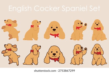 Adorable and simple English Cocker Spaniel with a red ribbon collar illustrations set