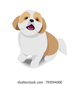 Adorable sitting brown and white dog with shadow on white background,vector illustration