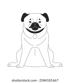 Adorable sitting pug with collar tag black and white 2D line character. Cute small dog breed. Pet mascot. Domestic canine isolated vector outline animal. Monochromatic spot illustration