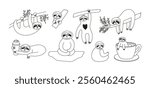 Adorable sloth animals collection doodle. Hand drawn tropical bears character on the tree, sitting, hanging and relax