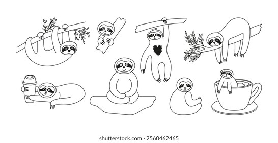 Adorable sloth animals collection doodle. Hand drawn tropical bears character on the tree, sitting, hanging and relax