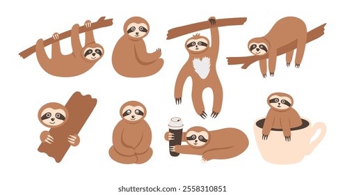 Adorable sloth animals collection. Hand drawn tropical bears character on the tree, sitting, hanging and relax