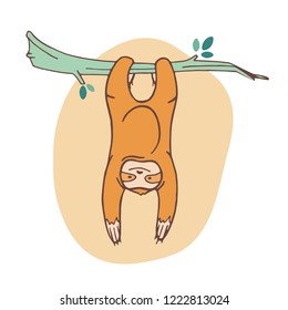 Adorable sloth clinging to branch and hanging. Joyful wild exotic animal playing on tropical tree. Cute cartoon character isolated on white background. Childish vector illustration in flat style.