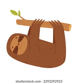 Adorable sloth hanging on tree branch. Lovely wild jungle animal. Cute childish print for banner, card, t-shirt cartoon vector illustration