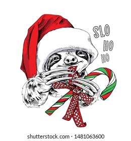 Adorable smiling sloth in a red Santa's hat with a lollipop. Slo Ho Ho - lettering quote. Christmas and New year card, Humor composition, hand drawn style print. Vector illustration.