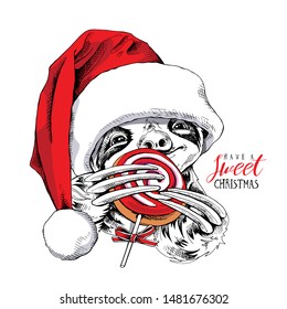 Adorable smiling sloth in a red Santa's hat with a cookie. Have a sweet Christmas - lettering quote. New year card, Humor composition, hand drawn style print. Vector illustration.