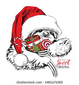 Adorable smiling slothin a red Santa's hat and with a coffee cup, cookie, lollipop. Christmas and New year card, Humor composition, hand drawn style print. Vector illustration.
