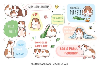 Adorable stickers with cute guinea pigs set. Cute rodent animal guinea pig labels and funny stamps. Modern guinea pig stickers collection with funny phrases and text.