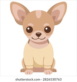Adorable Tiny Adorable Chihuahua Dog in a Pink Sweater