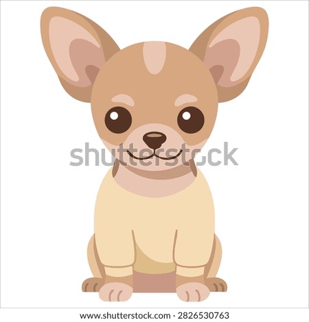 Adorable Tiny Adorable Chihuahua Dog in a Pink Sweater