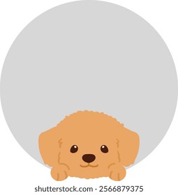 Adorable Toy Poodle coming out of a circle shape