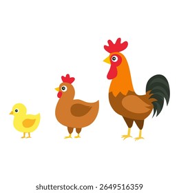 Adorável ilustração vetorial de uma família de galinhas: galinha, galinha e galo. Excelente para conteúdo educacional, designs com temas agrícolas e materiais de aprendizagem para crianças.
