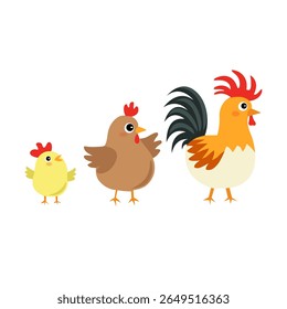 Adorável ilustração vetorial de uma família de galinhas: galinha, galinha e galo. Excelente para conteúdo educacional, designs com temas agrícolas e materiais de aprendizagem para crianças.
