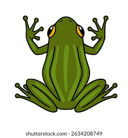 Adorable vector illustration of a green frog viewed from above, showcasing its unique textured back and expressive yellow eyes.
