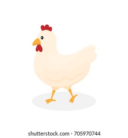 Adorable walking mature rooster chicken in flat style. Cute hen cartoon. Vector illustration