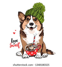 Adorable Welsh Corgi dog in a green knitted hat and with a red cup of coffee. Love is sweet - lettering quote. Humor card, t-shirt composition, hand drawn style print. Vector illustration.