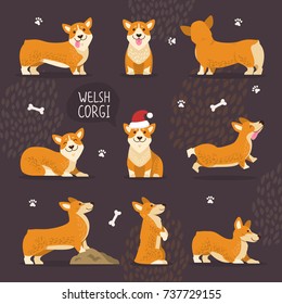 Adorable welsh corgi dogs with yellow fur set that play, do tricks and in christmas hat isolated vector illustrations on white background.