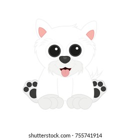 adorable west highland terrier puppy baby dog domestic pet sitting down with its black big eyes looking happy and a pink tongue hanging from its mouth waving moving its fluffly tail 