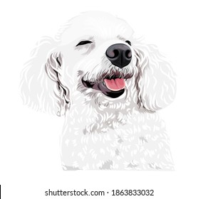 Adorable perro blanco sonriente vectorial arte de un cachorro