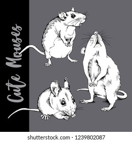 Adorable white Little Mouses. Сollection of a characters. Humor set, hand drawn style print. Vector illustration.