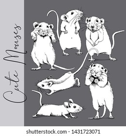 Adorable white Little Mouses. Сollection of a characters. Humor set, hand drawn style print. Vector illustration.