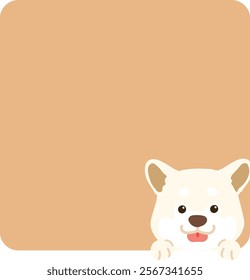 Adorable white Shiba Inu coming out of a square shape