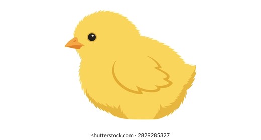 Adorable yellow chick with fluffly feathers, ideal for spring, Easter, and farm-related design projects.