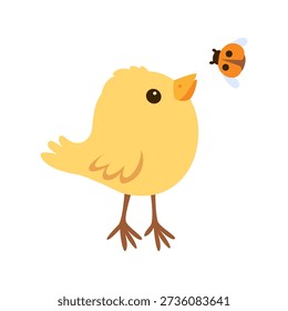 Adorable yellow chicken is looking at ladybug. Simple domestic bird print isolated on white. Vector illustration.
