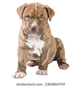 Adorably young brown and white pit bull dog