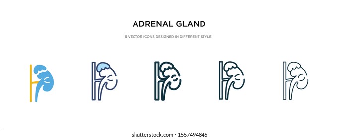 Adrenal Gland Icon In Different Style Vector Illustration. Two Colored And Black Adrenal Gland Vector Icons Designed In Filled, Outline, Line And Stroke Style Can Be Used For Web, Mobile, Ui