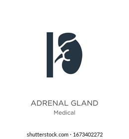 Adrenal Gland Icon Vector. Trendy Flat Adrenal Gland Icon From Medical Collection Isolated On White Background. Vector Illustration Can Be Used For Web And Mobile Graphic Design, Logo, Eps10