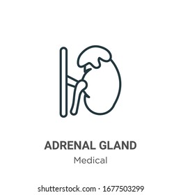 Adrenal Gland Outline Vector Icon. Thin Line Black Adrenal Gland Icon, Flat Vector Simple Element Illustration From Editable Medical Concept Isolated Stroke On White Background