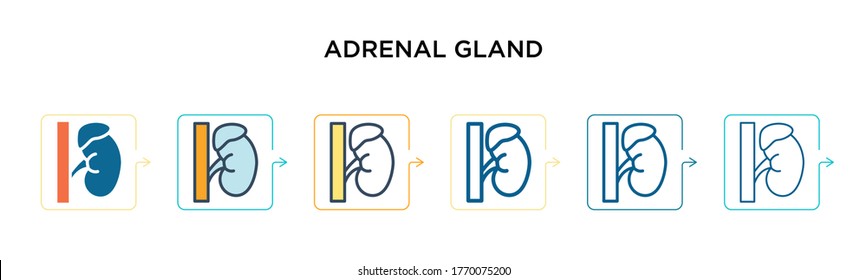 Adrenal Gland Vector Icon In 6 Different Modern Styles. Black, Two Colored Adrenal Gland Icons Designed In Filled, Outline, Line And Stroke Style. Vector Illustration Can Be Used For Web, Mobile, Ui