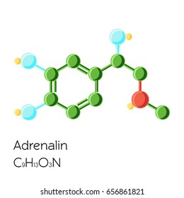 Adrenalin (Adrenaline, Epinephrine) hormone structural chemical formula isolated on white background. Cartoon vector illustration in flat style. 