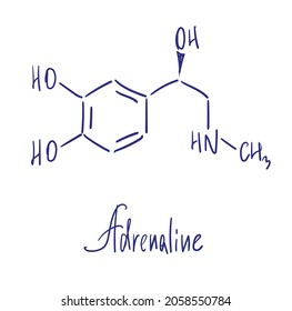 Adrenaline chemical structure. Vector illustration Hand drawn.