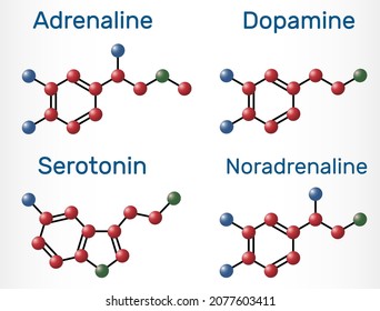 Adrenaline (epinephrine), dopamine ( DA), serotonin, norepinephrine (noradrenaline) molecules. Monoamine neurotransmitters, neuromodulators, medications. Vector illustration