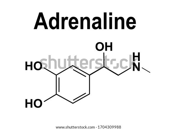 Adrenaline or epinephrine hormone chemical\
structure. Epinephrine is normally produced by both the adrenal\
glands and certain\
neurons.