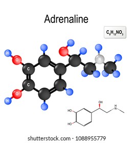 Adrenaline (epinephrine) is  a hormone, neurotransmitter, and medication. Produced by the adrenal glands and neurons. Structural chemical formula and model of molecule of adrenalin