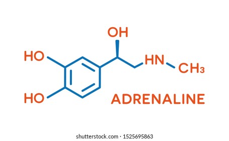 Adrenaline hormone molecular formula. Human body hormones symbol