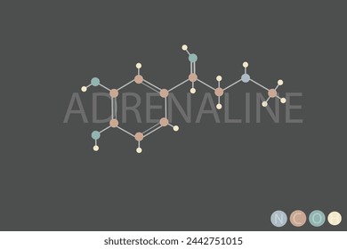 adrenaline molecular skeletal chemical formula
