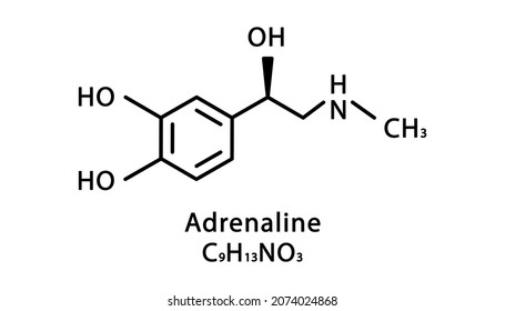 Adrenaline molecular structure. Epinephrine skeletal chemical formula. Chemical molecular formula vector illustration