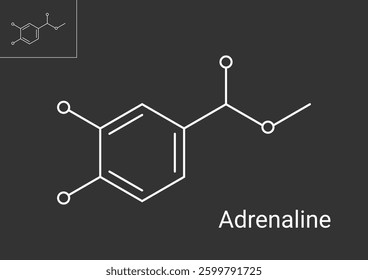 Adrenaline molecular structure illustration. Neurotransmitter structural chemical formula vector.