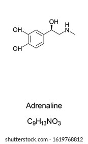 Adrenaline molecule, epinephrine skeletal formula. Structure of C9H13NO3. Hormone, medication and neurotransmitter. Plays a role in fight-or-flight response. Structural formula. Illustration. Vector.