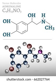 Adrenaline molecule image. Vector illustration in 3D style on a light background. Chemistry, biology, medicine and healthcare concept.