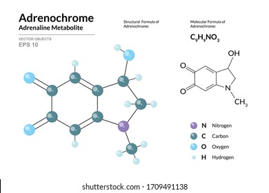 Adrenochrome. Adrenaline Metabolite. Structural Chemical Formula and Molecule 3d Model. Atoms with Color Coding. Vector Illustration 